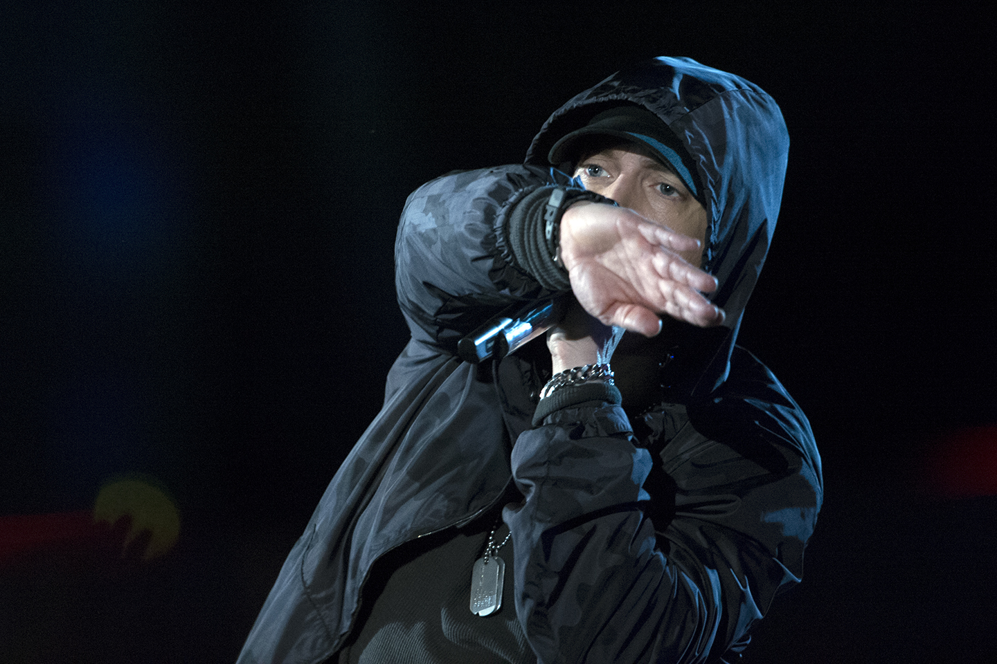 Eminem si esibisce con cappuccio e microfono al Concert for Valor di Washington nel 2014